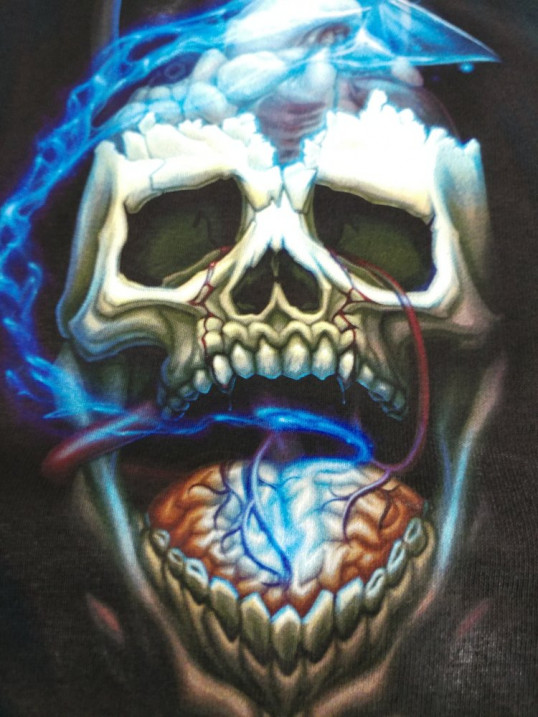 Brain Skull